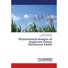 (영문도서) Phytochemical Analysis of Sugarcane Flower (Saccharum Edule) Paperback, LAP Lambert Academic Publis..., English, 9786208416348