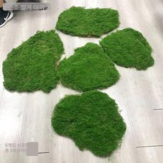 인조 이끼 가짜 데코 실내조경 식물 촬영용 모형 벽면, 21m 브라운 실크 모스 5개입 팩, 1개