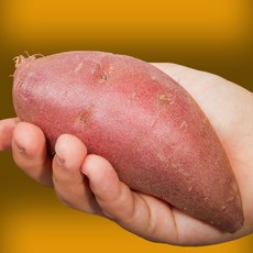해담빛 해남농장 꿀고구마, 1박스, 5kg 특상