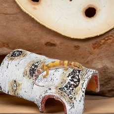 YY30 1개 내구성이 뛰어난 동굴 PVC 질감의 쉼터 털갈이 양서류를 놀이 숨숨처소 위한 공간 자작나무 도마 휴식