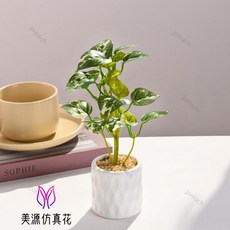 仿真綠植小盆栽 仿真綠蘿 芋葉 爬山虎 仿真植物盆景 辦公室綠植 假綠植 客廳書房假綠植擺件辦公桌面裝飾品, 4644   仿真綠植小盆栽（陶瓷花盆）, 1個