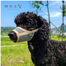 해리스힐 초경량 메쉬 컬러 입마개 S, 1개, 오트베이지