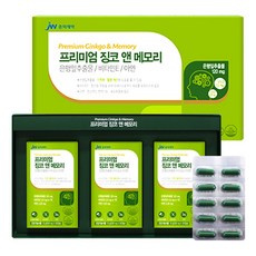 은행잎추출물 120mg / JW 중외제약 프리미엄 징코앤메모리 90캡슐(3개월분) 기억력 개선 / 혈행개선 / 아연 비타민E 함유, 90정, 1개