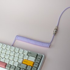 마카롱 컬러 항공 케이블 USB to C타입, 퍼플, 1개