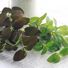 Dawoo F&G 蘋果薄荷人造枝, 綠色, 5個