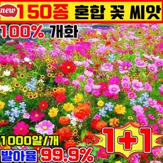 꽃 씨앗 노지 월동 다년생 꽃 씨앗 봄꽃 씨앗 4계절 꽃 씨앗 혼합 꽃씨앗 사계절 개화 식물은 천연 공기 여과기 꽃밭 혼합 씨앗 꽃바다조합씨앗, 2개