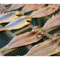 국내산 반건조 민어 구이 찜 탕용 제수용, 6개, 240g내외