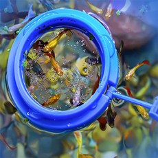 디에인샵 물고기 밥그릇 물고기용품