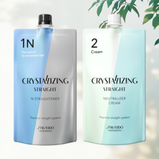 시세이도 매직약 크리스탈라이징 스트레이트 N 크림 400g New, 1개