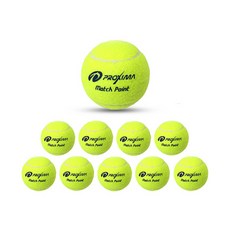 프록시마 연습용 테니스공 낱개 1개