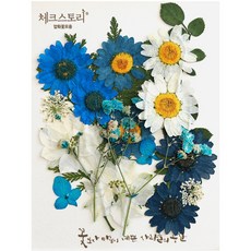 CHECK STORY 壓花 混色綜合包 花朵組合 23p 套組, 藍色1(隨機出貨)