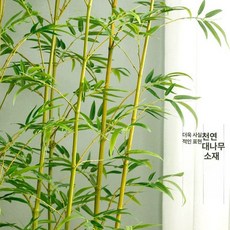 인조 식물 야외 가짜 대나무야외 장식품 화분 파티션 소품 인테리어 웨딩 장식 묶음 테라스, 1.2m 대나무 줄기 30개