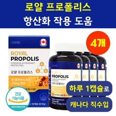 대용량 프로폴리스 플라보노이드 식약청인증 헬시위듀 항산화 영양제, 4개, 180정