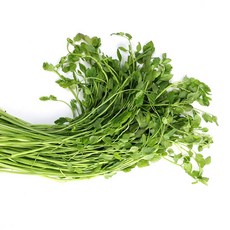 돌미나리 국내산 향긋한 신선 미나리 무침용 채소 더맛상, 1박스, 1kg