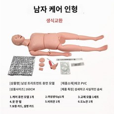 인체 교육 마네킹 모형 모델 요양 보호사 남성 여성 병원 인간 교육용 실습 의료 교구, 생식 교환 남성 간병인