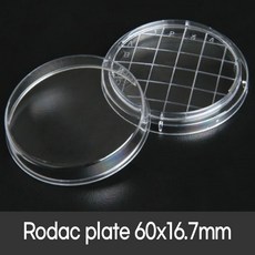 격자형 페트리디쉬 Rodac plate 60x16.70mm (500개/box) 로닥 플레이트 SPL 10061, 선택1 10061_Covex bottom, 1개