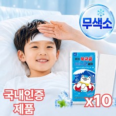뷔에모 쿨패치 프리미엄 무색소 붙이는 아이스 쿨 얼굴 열감 냉각시트 여름 야외활동 필수템, 10개