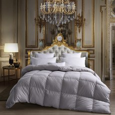 Montheria 구스이불 쇄온 거위털이불 사계절구스이불 C395-216, 스타일1