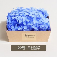 화연양화 프리저브드플라워 블루밍 케이스 수국 30색, 22 오션블루