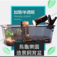 邦邦水族 半透明烏龜生態盆 爬蟲 兩棲 飼養盆 培育箱 寵物箱 烏龜缸, 1個, s款透明藍