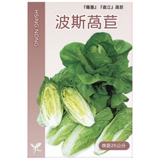 興農種苗 波斯萵苣 (結球萵苣) 種子, 1包