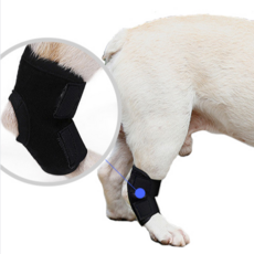 애견 다리 보호대 수술 탈골 반려견 강아지 다리 보호대 관절, 4애견슬개골보호대-XL, 1개