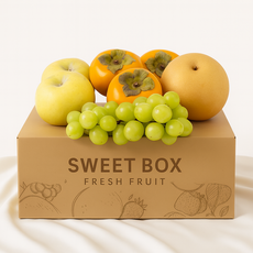 [더달달] 국내산 당일배송 1인가구 원데이 신선 과일세트 D세트, 1세트