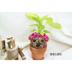 [쩡토피어리]화분 행잉 볼 가랜드 반려식물 공기정화 토피어리, 1개
