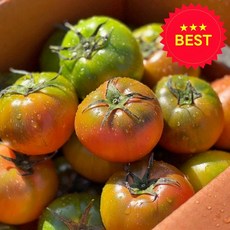 (산지 직송) 대저 짭짤이 토마토 특품, 1박스, 2.5kg (로얄과 3S-S)