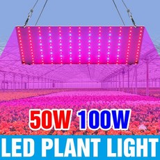 100W LED 풀 스펙트럼 성장등 퀀텀 보드 재배 호환용 램프 실내 과일 온실 텐트 묘목 채소용 미국/유럽 플러그, 01 EU plug, 04 D Sunlight 50W