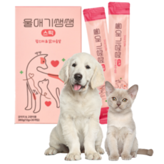 울애기쌩쌩 강아지 고양이 스틱형 종합영양제 눈 피부 관절 신장 심장 간, 1개, 신장/심장/간, 30회분