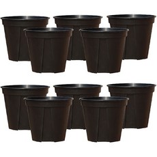 앙플랜트 숨쉬는 슬릿화분 10p, 블랙, 10개