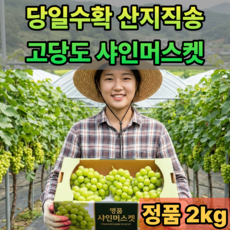[초특가] 고당도 샤인머스캣 씨없는 포도, 1박스, 2kg (3~4수)