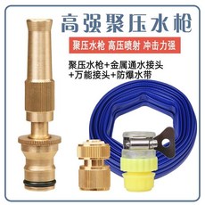 高壓水槍，澆花洗車工具，純銅高壓噴槍，洗車神器, 1個, 20米.藍水帶+噴槍+金屬通水+萬能