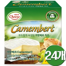 TOINOU 토이노우 까망베르치즈 레드팔레지엉, 125g, 24개