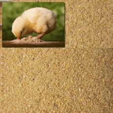 어린병아리 가루사료 3kg, 1개