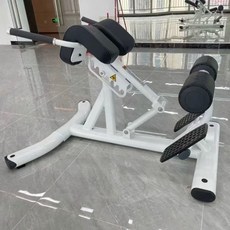 척추기립근 운동 헬스 로만체어 머신 복근 등근육, 1. 흰색