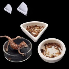 파충류 도자기 밥그릇 물그릇 식기 코너형 중형 대형 사료 음식 파총류 도마뱀 접시, 코너형 화이트 중현, 1개