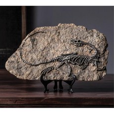 공룡 화석 모형 교육용 실내 인테리어 소품 수업자료 과학교구 재료 도구