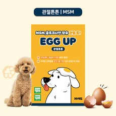 [에그업] 강아지 짜먹는 계란간식 강아지간식 스틱파우치 1박스 (30P) 유통기한임박(2026-04-06), 360g, 1개, 관절튼튼(MSM)유통기한임박