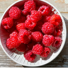 [2주한정판매] 100%산지직송 초특가 달콤끝판왕 산딸기, 1박스, 1kg