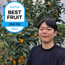 [만족도1위 당일수확] 단감 고당도 진영단감, 1박스, 5kg 중 23-26개