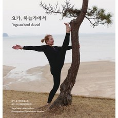 NoonbitPublishing 瑜珈 在天際：Yoga au bord du ciel, 馬汀·佛羅斯特 著/達娜·雷蒙·卡佩利安 攝影