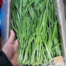 부추 2kg 야채맘, 1박스