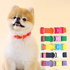 [아스터슈] 컴피칼라 강아지 산책용 목줄, PURPLE+LEMON, 1개