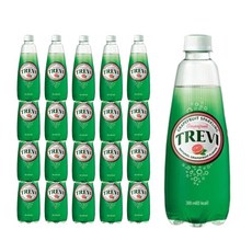 대량주문 탄산수 트레비 자몽 300ml 20p 병음료 롯데 카페 다이어트 단체 여행 행사