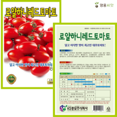 대추방울토마토씨앗 로얄레드(20립) 방울 토마토 대추방울 씨 씨앗 종묘 종자 영웅 KS, 1개
