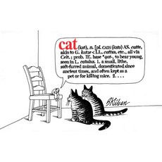 (영문도서) Cat Paperback, Workman Publishing, English, 9780911104547
