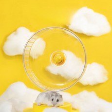 햄스터 벽걸이 런닝휠 조용한 회전식 운동기구 설치형 회전 바퀴, 1개, 21cm 런닝 휠 + 나무 지지대