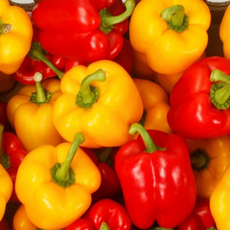 파프리카 정품(노랑 빨강), 1개, 300g * 3팩 900g